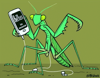 Battles In Mono Grasshopper GIF