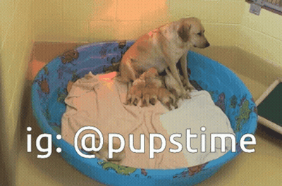 BBC America Woman Saying Oh Yeah GIF
