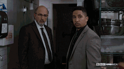 BBC American Eyebrows Up Pal  GIF