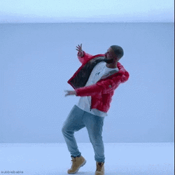 Bbl Drake In Red Jacket GIF