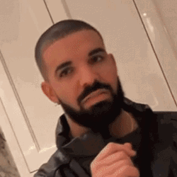 Bbl Drake What GIF