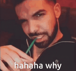Bbl Drake Why Haha GIF