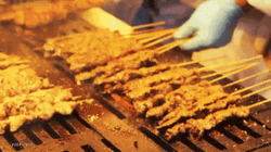 Bbq On Stick Grilling Line Up GIF