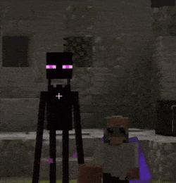 Bdubs Hermitcraft GIF