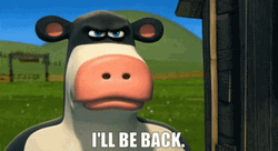 Be Back Otis Cow