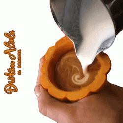Be Nice Have Pumpkin Spice GIF