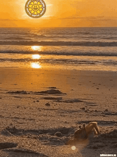 Beach At Sunset With Coin In Sky GIF