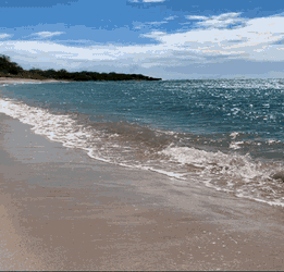 Beach Day GIF