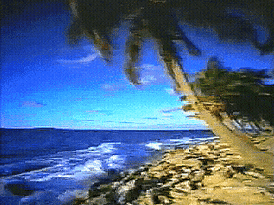 Beach Painting With Palm Trees and Ocean