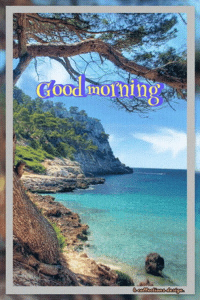 Beach Saying Good Morning GIF