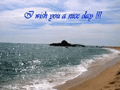 Beach Saying Wish You A Nice Day GIF