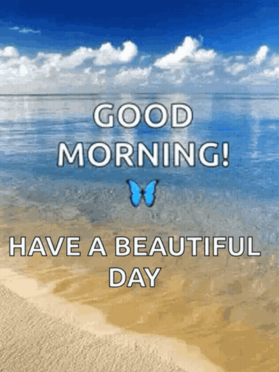Beach Scene With Butterfly And Good Morning GIF