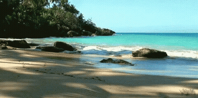 Beach Scene With Vogue Watermark GIF