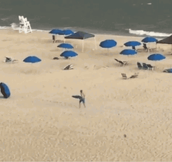 Beach Umbrellas Driven Away GIF