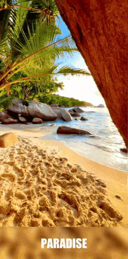 Beach Vacation GIF