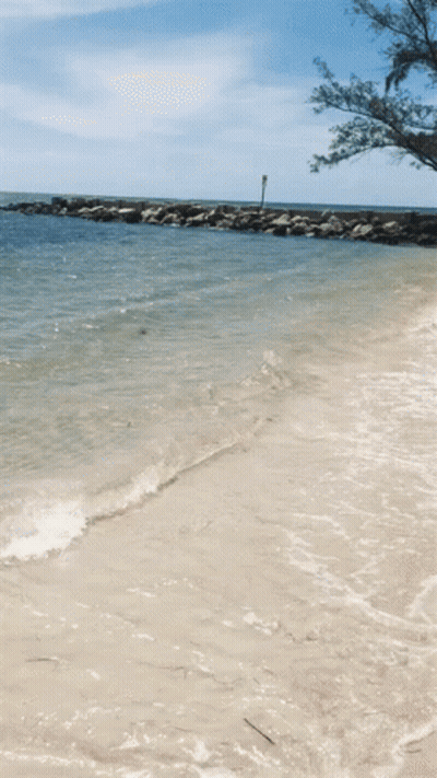 Beach Waves Crashing Lighthouse GIF