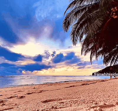 Beach With Franwhiteside GIF