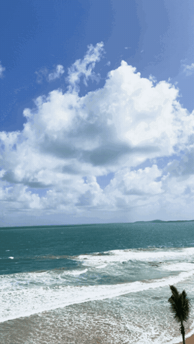 Beach With Palm Tree And Blue Sky White Clouds GIF
