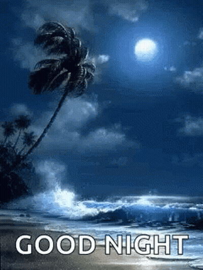 Beach With Palm Tree Saying Good Night GIF