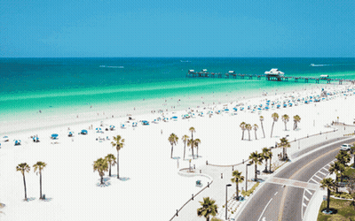Beach With Palm Trees And Pier GIF