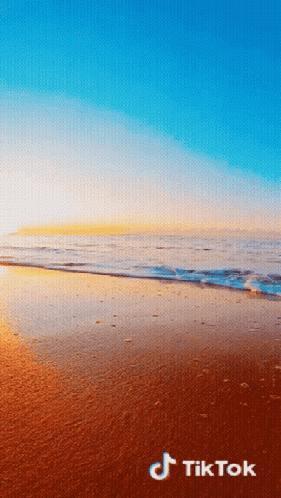 Beach With TikTok Logo GIF