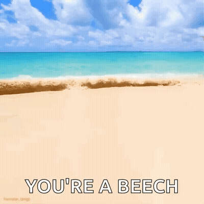 Beach With Youre A Beech GIF