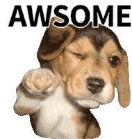 Beagle Puppy Pointing At Camera Awseome Sticker
