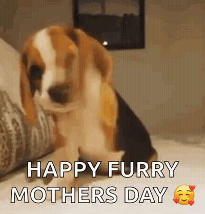 Beagle Puppy Saying Happy Furry Mother's Day GIF