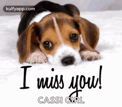 Beagle Puppy Saying I Miss You GIF