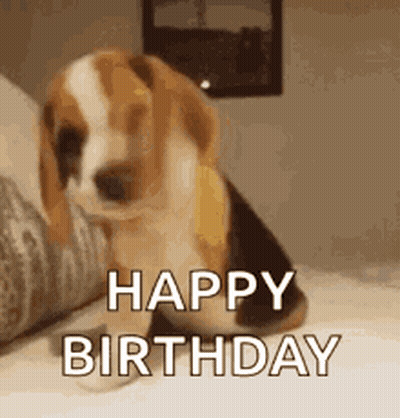 Beagle Puppy Says Happy Birthday GIF