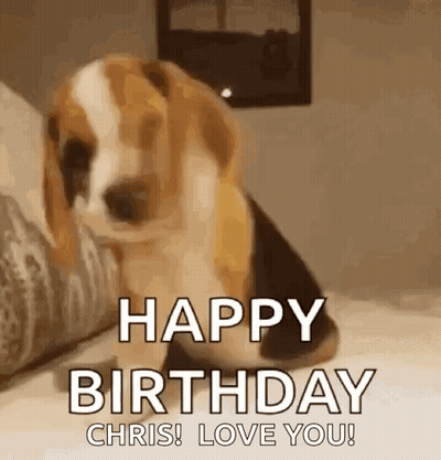 Beagle Puppy Sitting On Bed Saying Happy Birthday Chris Love You GIF