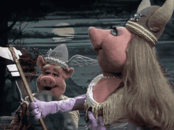 Beaker Muppets GIF