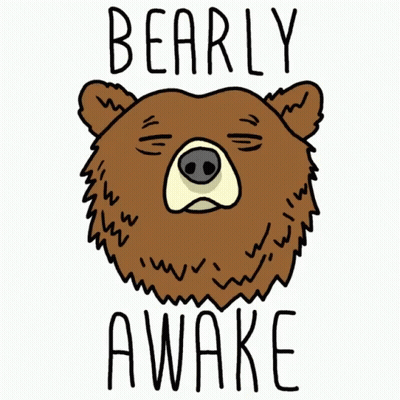 Bear Barely Awake GIF