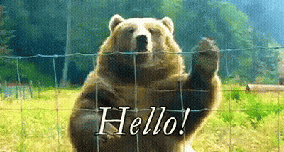 Bear Behind Fence Waving Paw Saying Hello GIF