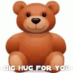 Bear Big Hug For You Meme GIF