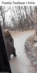 Bear Cat Freddy Fazbear Meme GIF