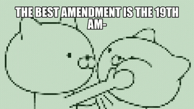 Bear Drawing With 19Th Amendment Quote GIF