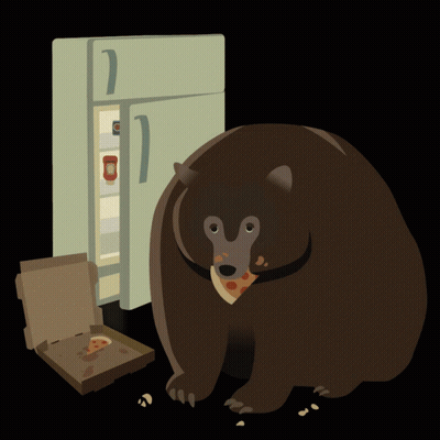 Bear Eating Pizza In Front Of Refrigerator GIF