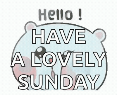 Bear Hello! Have A Lovely Sunday GIF