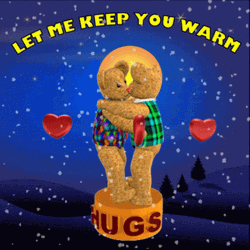 Bear Hugs Stay Warm GIF