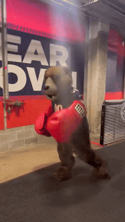 Bear In Boxing Gloves Walking Past Ear Ov Sign GIF