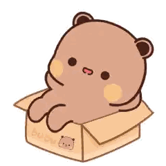 Bear In Cardboard Box GIF