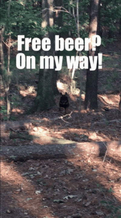 Bear In Woods Saying Free Beer On My Way GIF