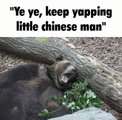 Bear Laying On Log Ye Ye Keep Yapping Little Chinese Man GIF