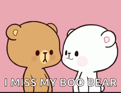 Bear Love Mocha Milk Missing GIF