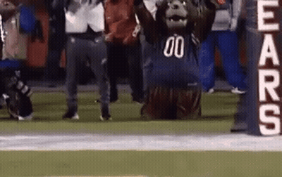 Bear Mascot Kneeling On Football Field GIF
