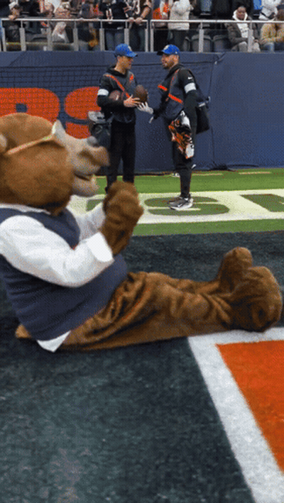 Bear Mascot Lying On Field With Football GIF