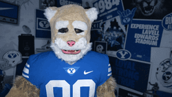 Bear Mascot Rock Paper Scissors 2 Hands Up GIF