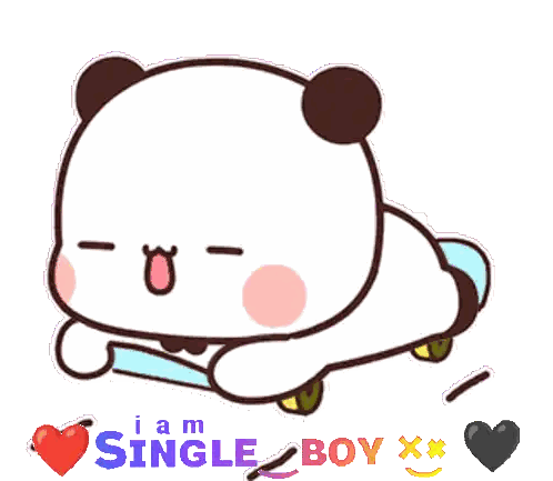 Bear Riding Skateboard I Am Single Boy Sticker