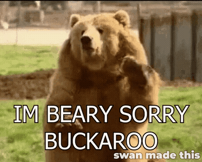 Bear Saying I'm Beary Sorry Buckaroo On Hind Legs GIF